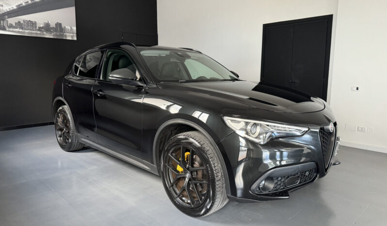 
Alfa Romeo Stelvio B-Tech 2.2 Q4 full									